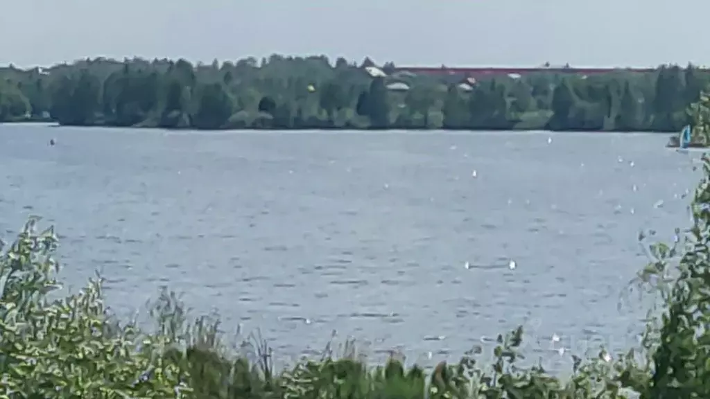 Участок в Московская область, Щелково ул. Славная (6.0 сот.) - Фото 2