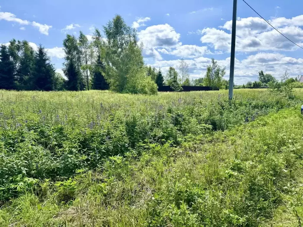 Участок в Московская область, Клин городской округ, Подсолнухи кп ул. ... - Фото 1