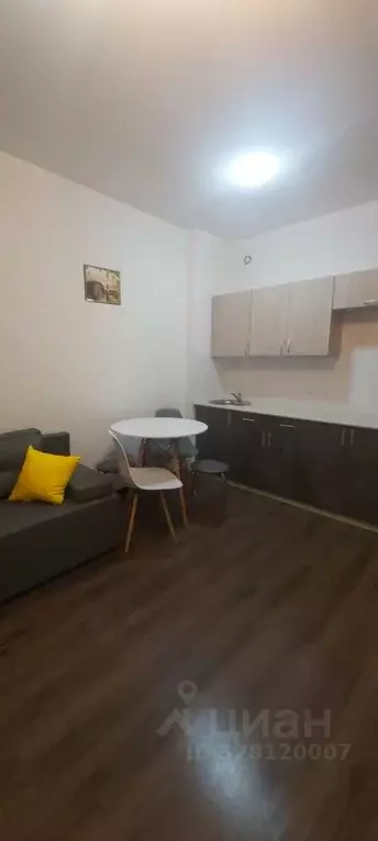 Студия Санкт-Петербург просп. Ветеранов, 171к2 (25.0 м) - Фото 2