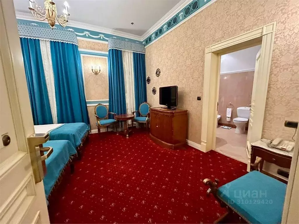 Комната Санкт-Петербург наб. Реки Мойки, 59 (20.0 м) - Фото 1