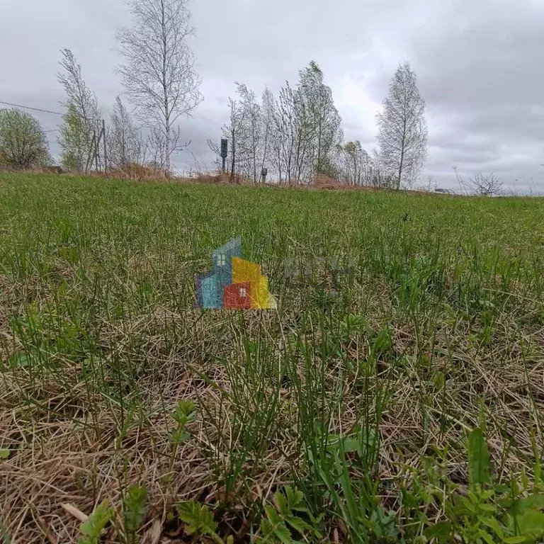 Участок в Тульская область, Тула городской округ, д. Погромное  (10.0 ... - Фото 2