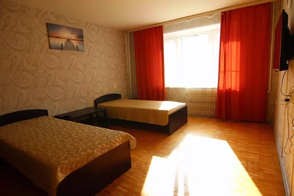 1-к кв. Ленинградская область, Сосновый Бор просп. Героев, 63 (35.0 м) - Фото 1