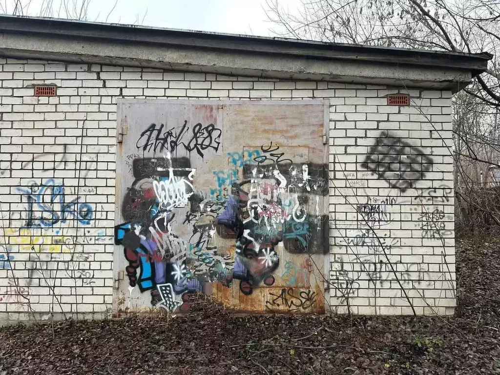 Гараж в Владимирская область, Петушки ул. Чехова, 5 (48 м) - Фото 1