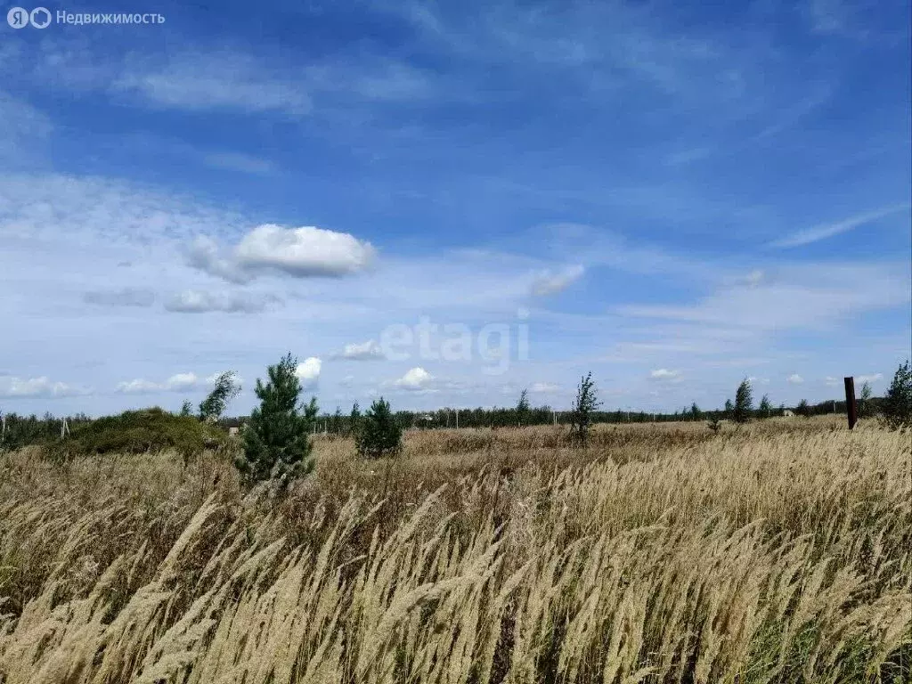 Участок в Красноармейский район, Миасское сельское поселение, село ... - Фото 1