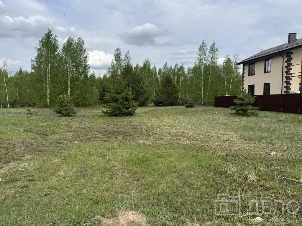 Участок в Рязанская область, Рязанский муниципальный округ, с. ... - Фото 1
