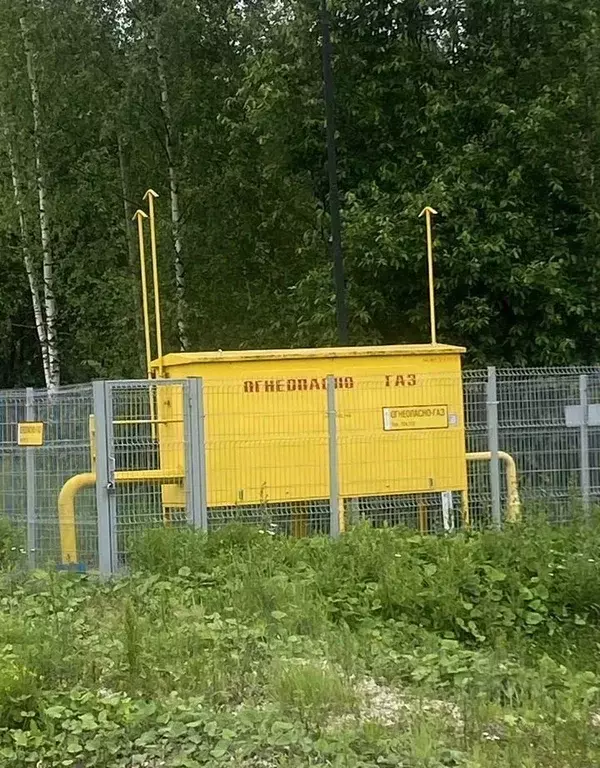 Участок в Московская область, Щелково городской округ, пос. Лесные ... - Фото 2