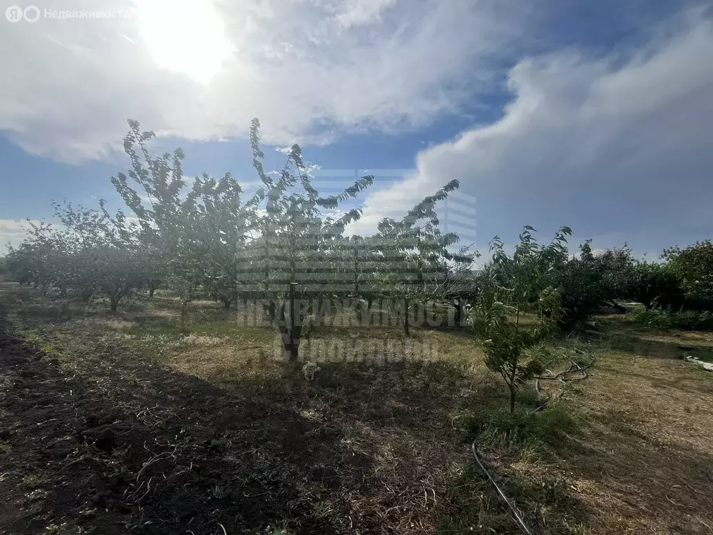 Участок в Неклиновский район, Лакедемоновское сельское поселение, село ... - Фото 1