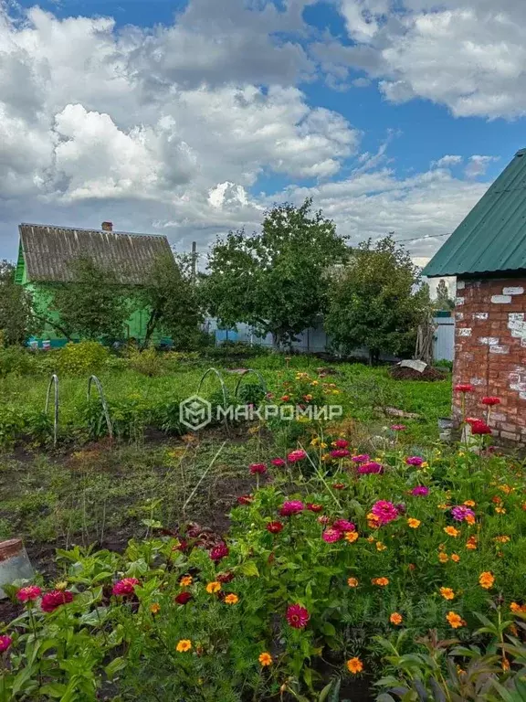 Дом в Брянская область, Брянск  (30 м) - Фото 2