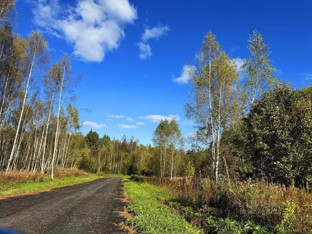 Участок в Московская область, Дмитровский муниципальный округ, Сбоево ... - Фото 1