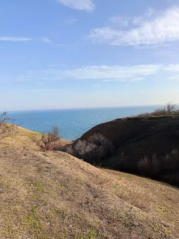 Участок в Ростовская область, Цимлянск Винзавод СОТ,  (6.0 сот.) - Фото 1