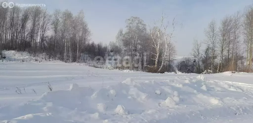 Участок в деревня Береговая, Набережная улица (10 м) - Фото 0