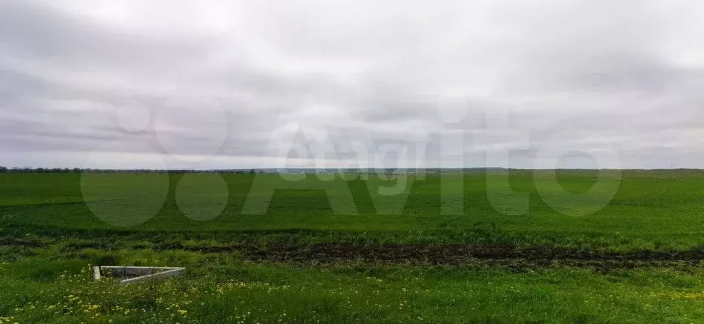 Участок 100 сот. (СНТ, ДНП) - Фото 1