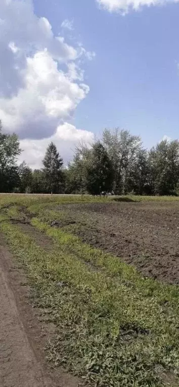 Участок в Курганская область, Кетовский муниципальный округ, с. ... - Фото 1
