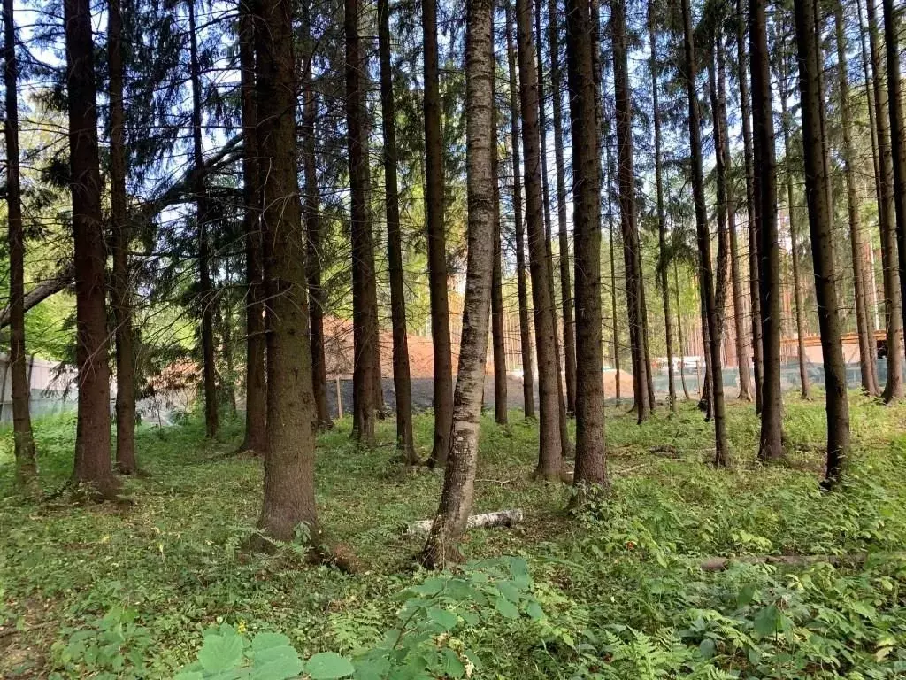 Участок в Московская область, Химки Новогорск Лес ТСН,  (17.5 сот.) - Фото 2