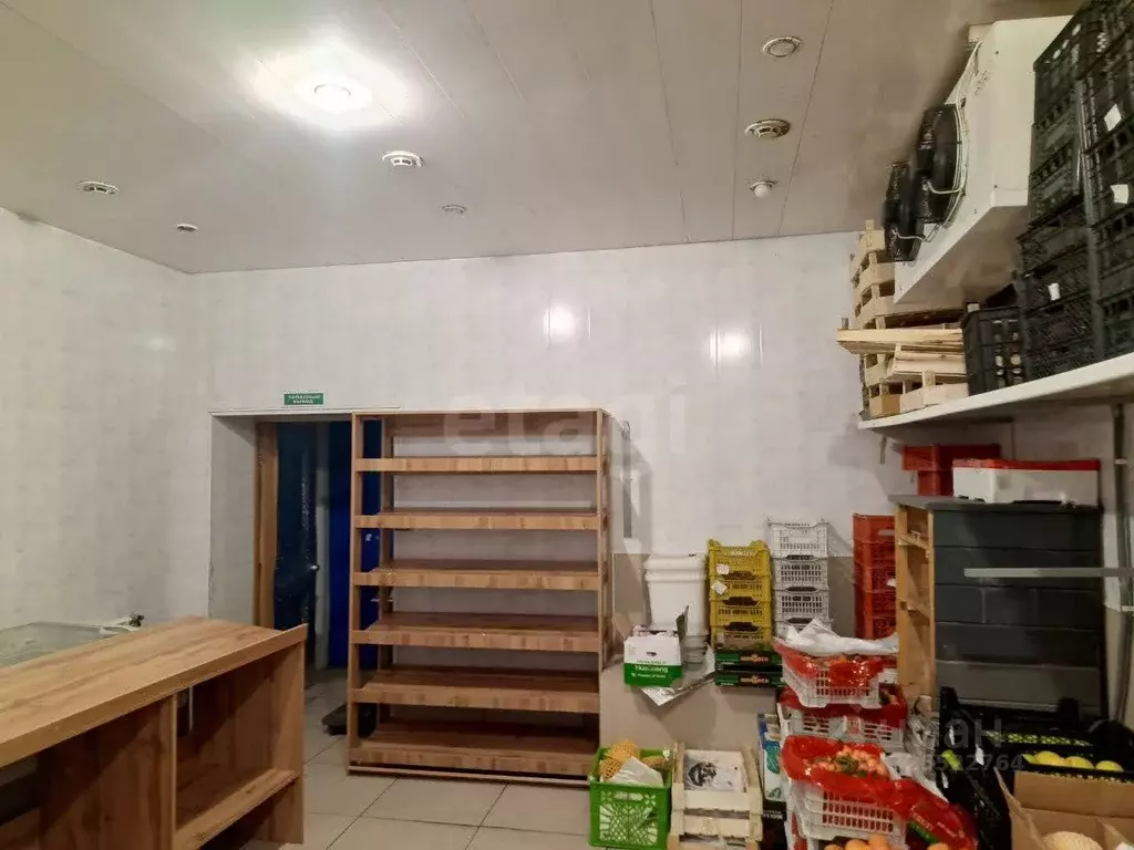 Торговая площадь в Курганская область, Курган ул. Орлова, 83 (119 м) - Фото 1