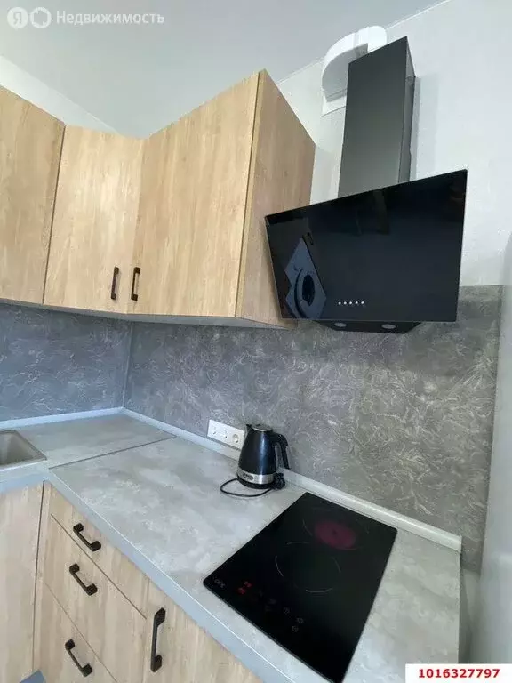 1-комнатная квартира: аул Новая Адыгея, Красная улица, 90 (28.1 м) - Фото 2