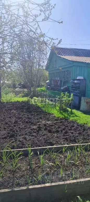 Дом в Свердловская область, Екатеринбург Труженик СНТ, 29 (20 м) - Фото 0