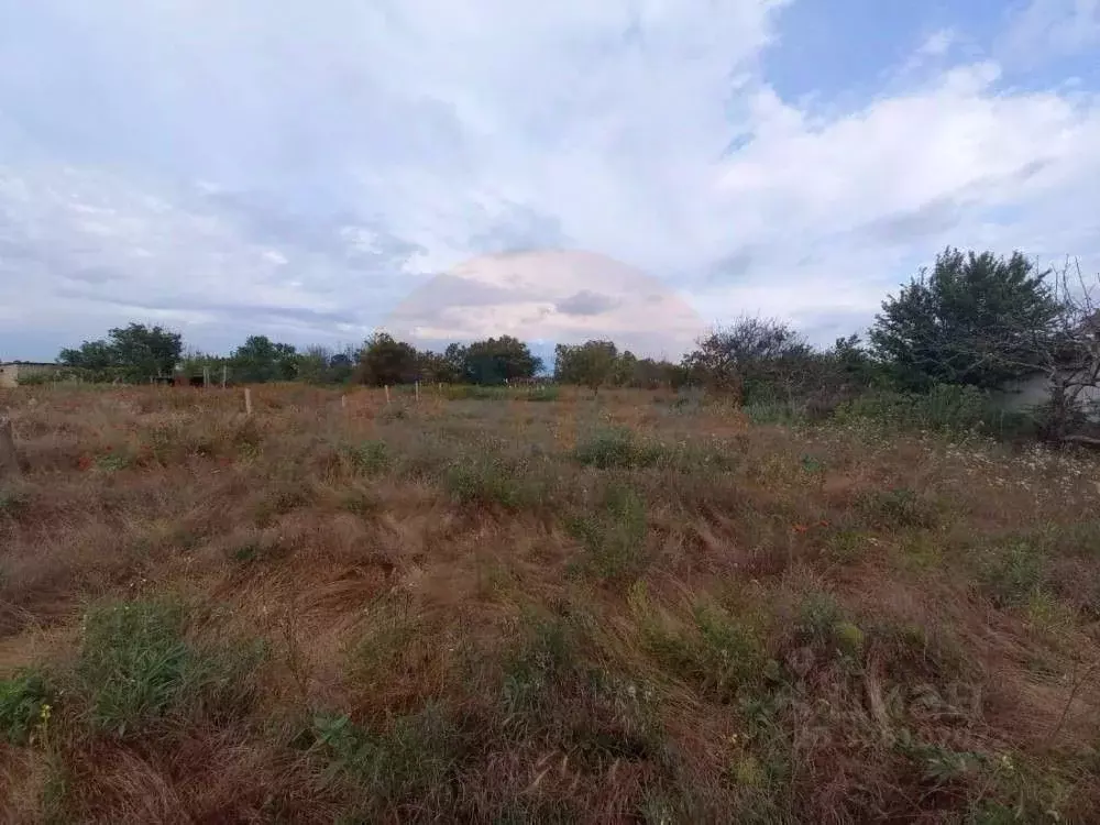 Участок в Крым, Сакский район, с. Орехово ул. Северная (4.0 сот.) - Фото 1