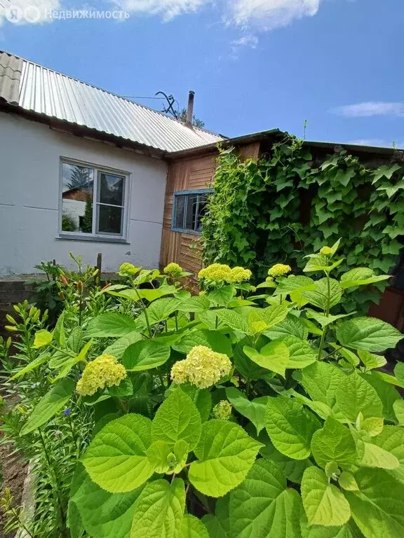2-комнатная квартира: Ордынское, улица Кирова, 72 (31 м) - Фото 0
