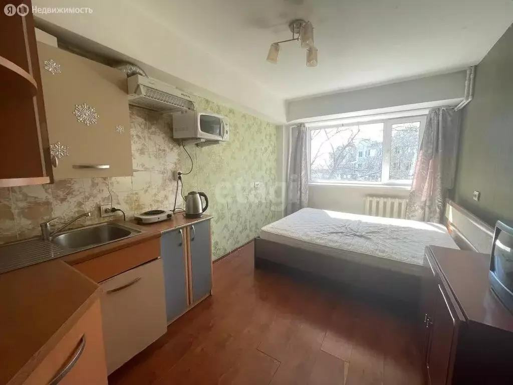 Квартира-студия: Петропавловск-Камчатский, улица Бохняка, 18 (17.8 м) - Фото 1