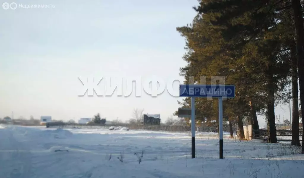 Участок в Ордынский район, деревня Абрашино, Береговая улица (11.37 м) - Фото 1