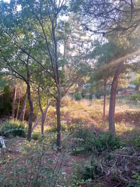 Участок в Краснодарский край, Геленджик Бобруковая Щель мкр,  (5.0 ... - Фото 2