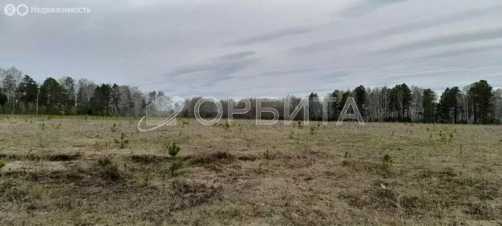 Участок в Тюменский район, коттеджный посёлок Новокаменский, улица ... - Фото 1