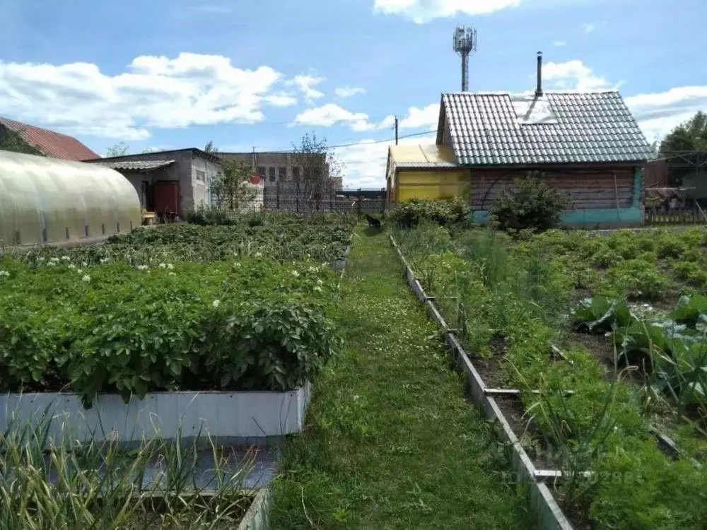 Участок в Самарская область, Шигонский район, с. Суринск Советская ул. ... - Фото 1