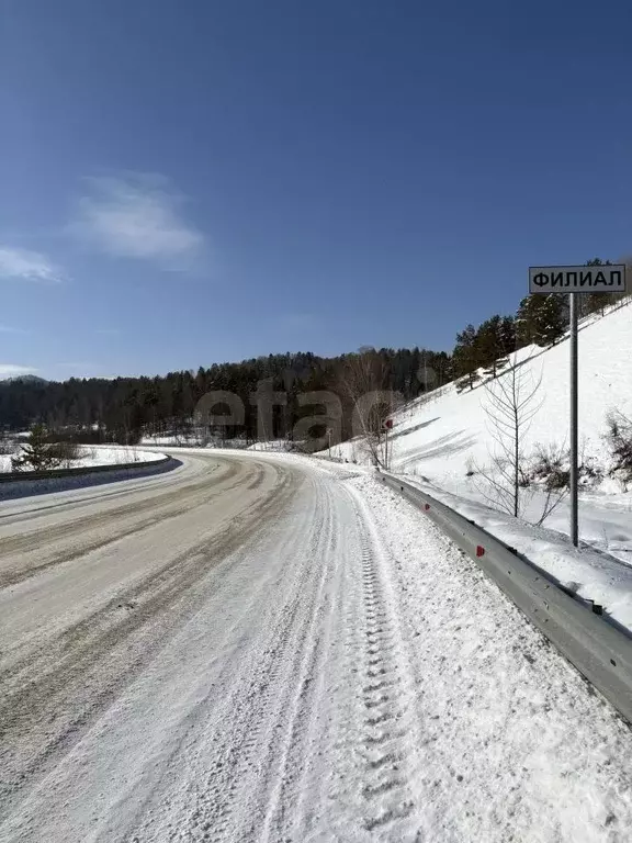 Участок в Алтай, Майминский район, Поселок филиал ул. Коммунаров, 13 ... - Фото 1