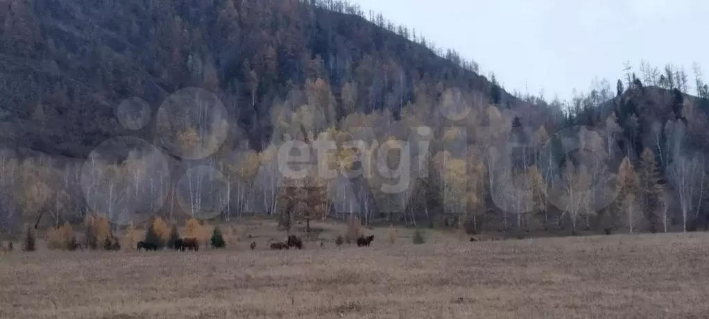 Участок 88 сот. (СНТ, ДНП) - Фото 0