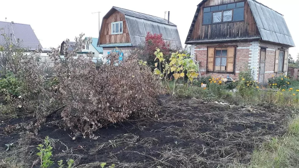 Купить Дачу В Коломне Снт Сосновка