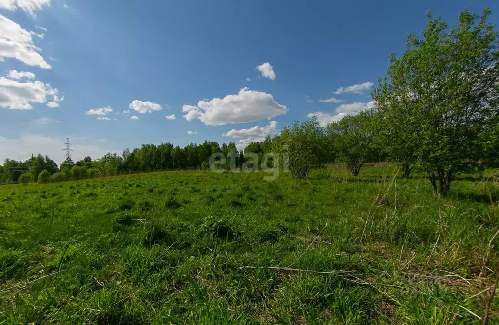 Участок в Томская область, Томск Каменка мкр, ул. Тихая (15.0 сот.) - Фото 0