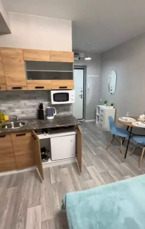 Студия Новосибирская область, Новосибирский район, Станционный ... - Фото 2