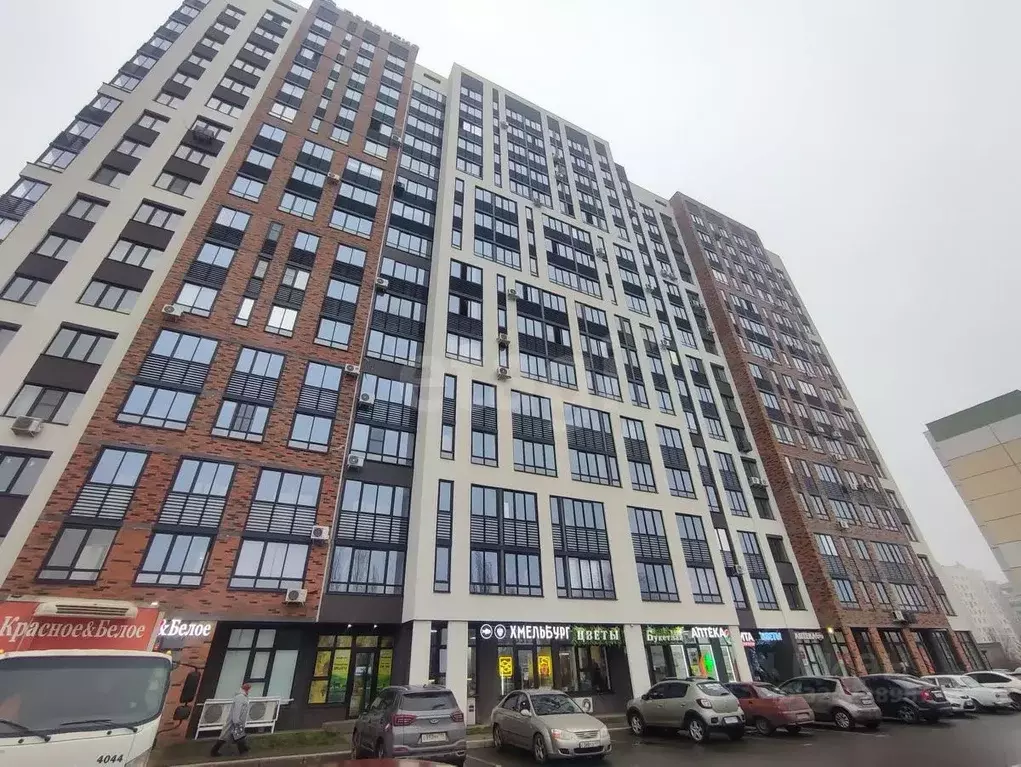 Студия Воронежская область, Воронеж Ростовская ул., 67 (17.6 м) - Фото 2