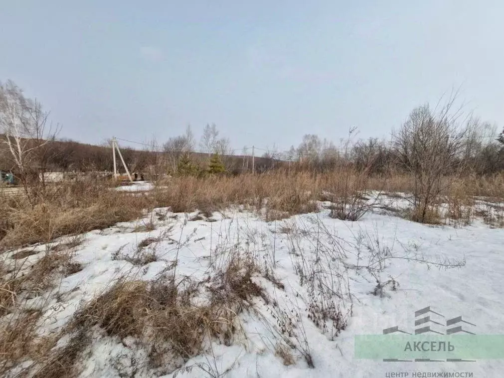 Участок в Амурская область, Благовещенский район, с. Чигири  (8.0 ... - Фото 0