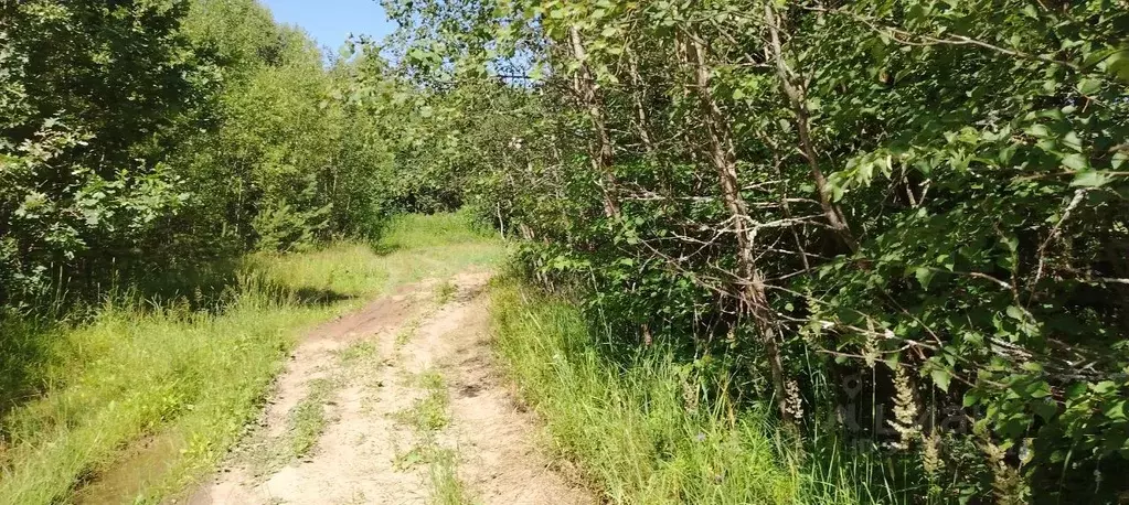 Участок в Московская область, Черноголовка городской округ, д. Старки ... - Фото 0