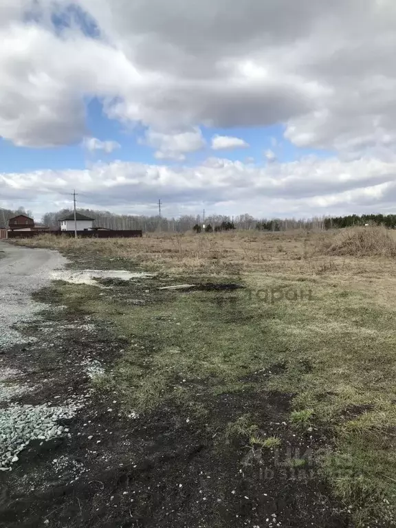Участок в Челябинская область, Красноармейский район, с. Харино ул. ... - Фото 1