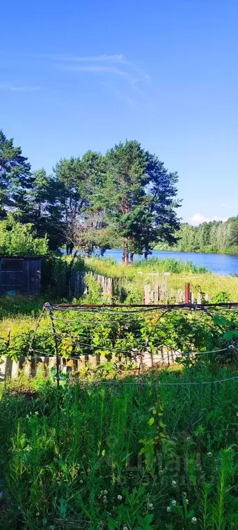 Дом в Самарская область, Тольятти Приозерный СНТ, ул. Приозерная (30 ... - Фото 1