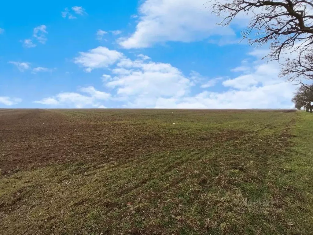 Участок в Крым, Сакский район, с. Молочное ул. Пионерская (580.0 га.) - Фото 1