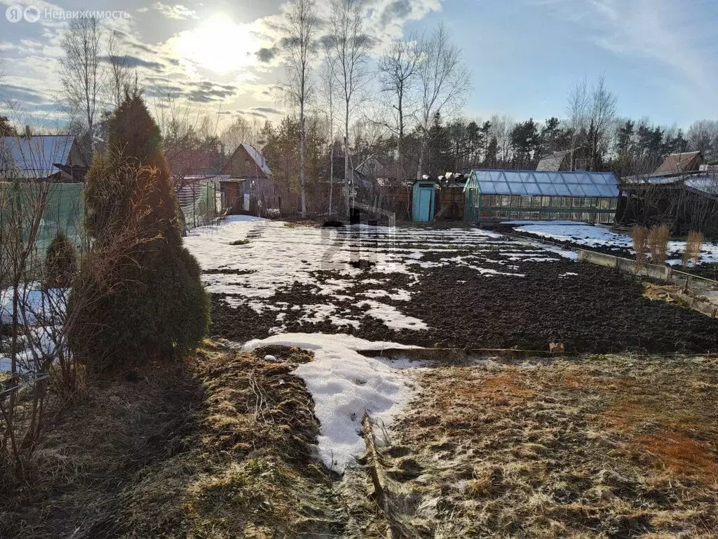 Дом в Верхняя Пышма, СНТ Мираж (42 м) - Фото 2