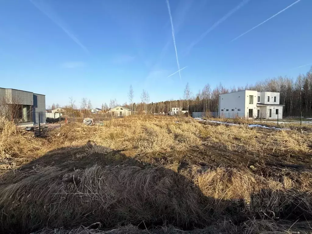 Участок в Ленинградская область, Ломоносовский район, Пениковское ... - Фото 1