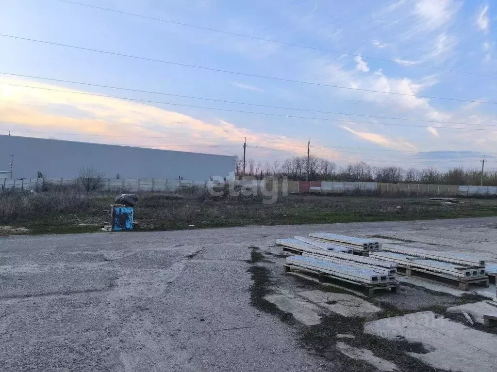 Склад в Белгородская область, Белгородский район, с. Стрелецкое ... - Фото 0