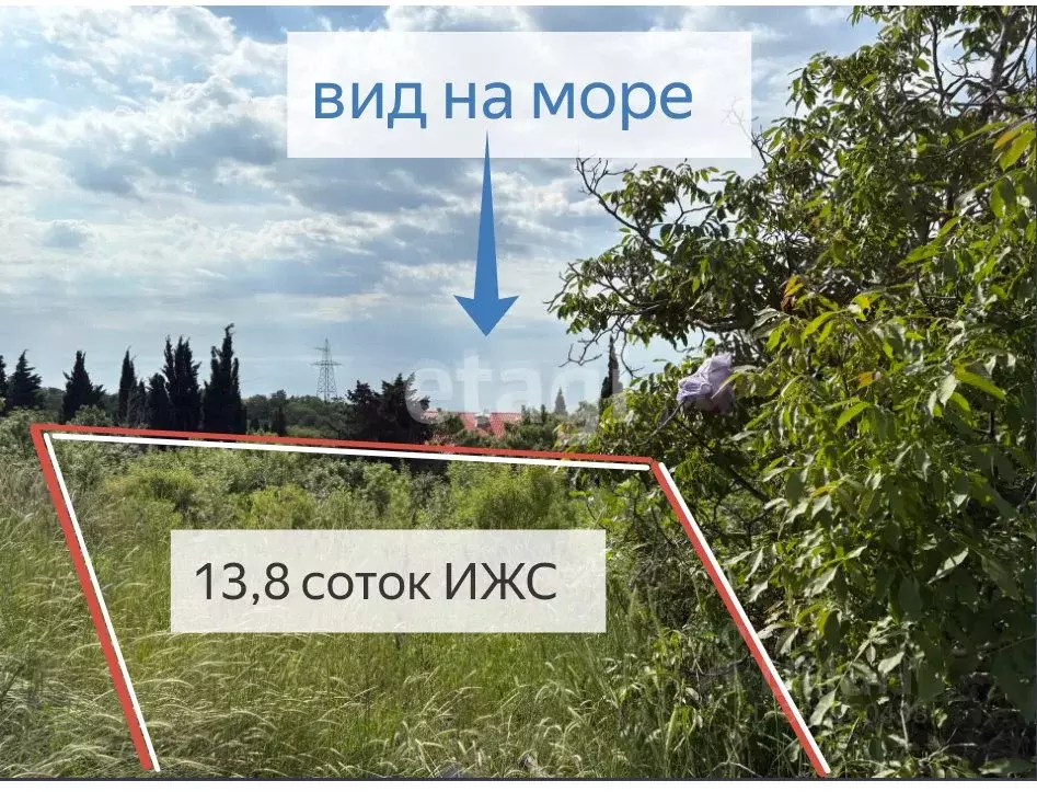Участок в Крым, Ялта муниципальный округ, Никита пгт  (13.8 сот.) - Фото 2
