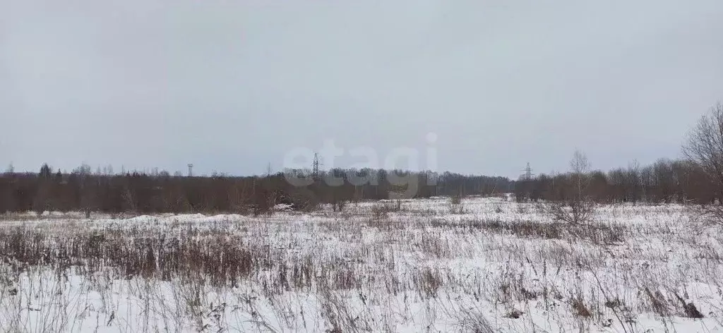 Участок в Вологодская область, Шексна рп ул. Беговая (15.0 сот.) - Фото 0