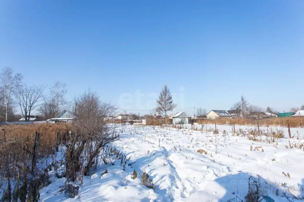 Участок в Хабаровский край, Хабаровский район, Тополевское с/пос, с. ... - Фото 1