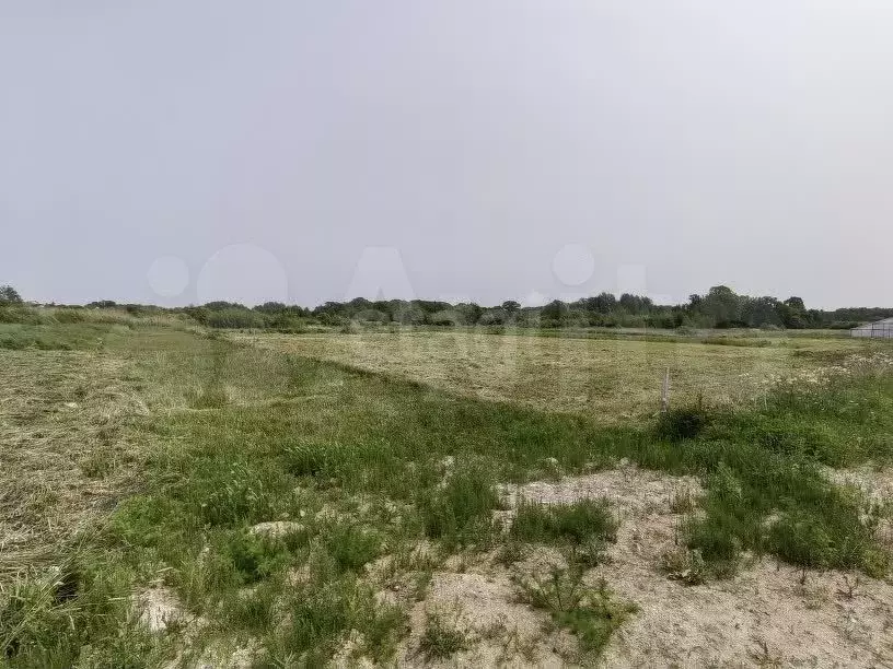Участок 8 сот. (СНТ, ДНП) - Фото 0