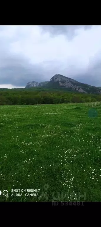 Участок в Крым, Бахчисарайский район, Голубинское с/пос, с. Поляна  ... - Фото 1