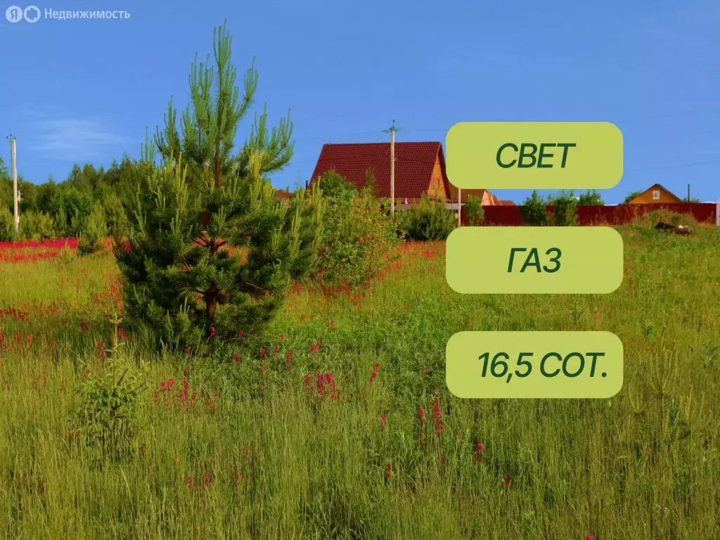 Участок в Тверская область, Калининский муниципальный округ, деревня ... - Фото 2