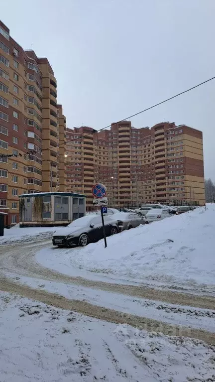 Студия Московская область, Дмитровский муниципальный округ, д. Целеево ... - Фото 1