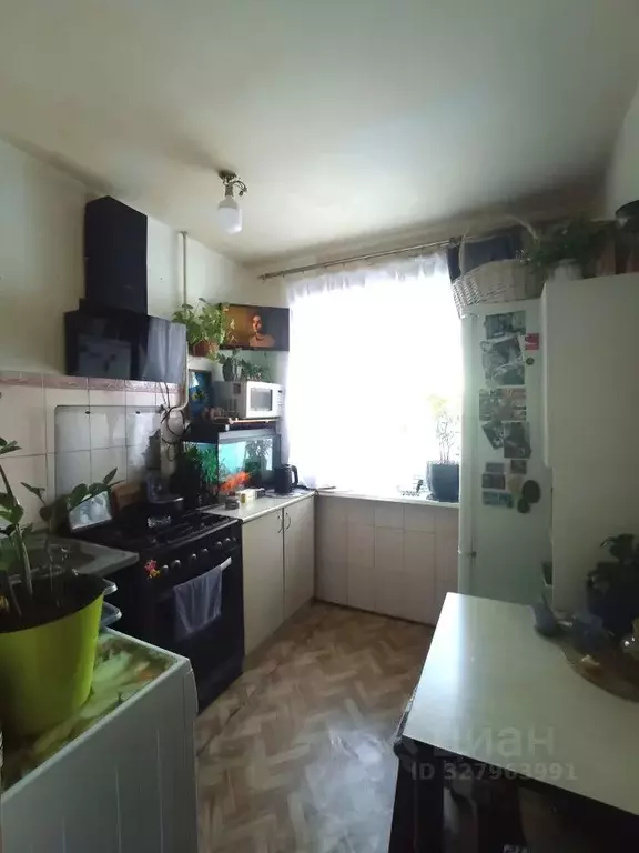 2-к кв. Пермский край, Пермь ул. Никулина, 41 (43.7 м) - Фото 1